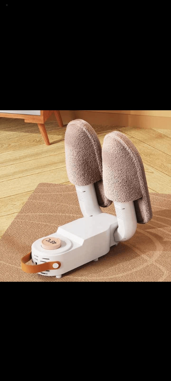 Portable Electric Shoe Dryer Machine