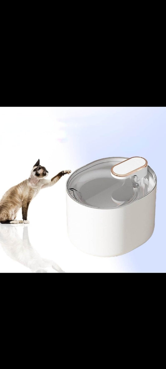 3L Pet Water Fountain